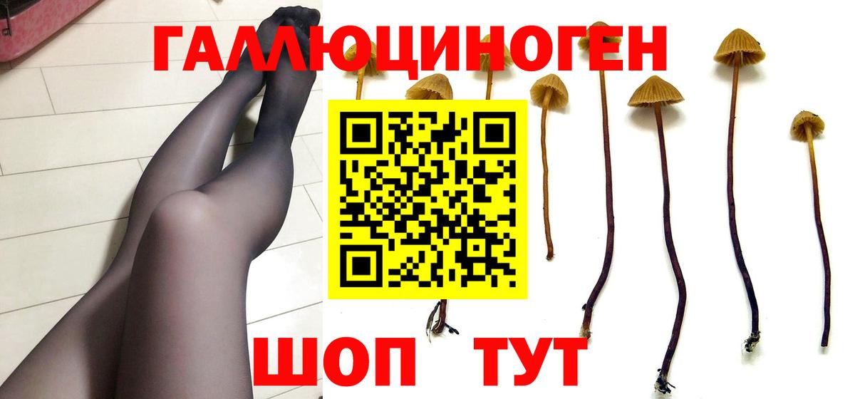Псилоцибиновые грибы прущие грибы  Вход с VPN  Волоколамск 